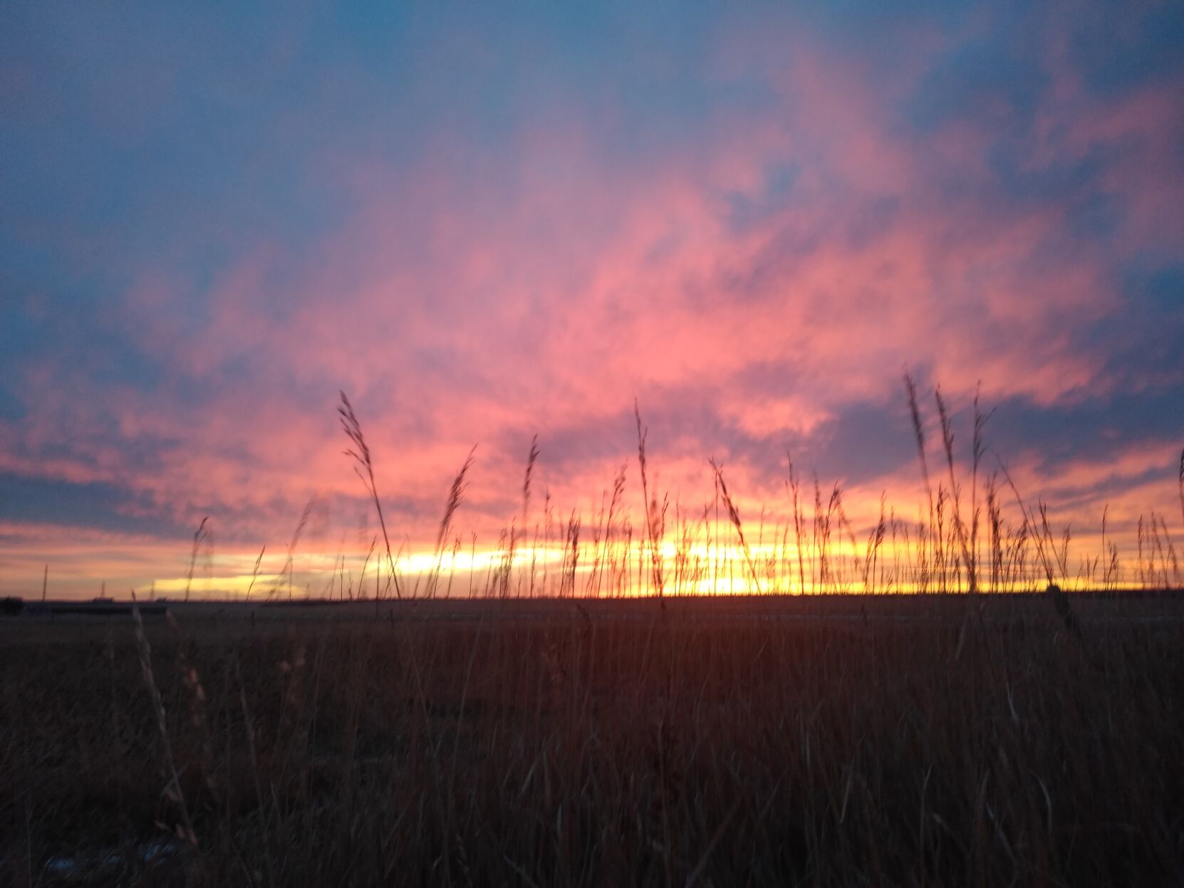 Painted sky